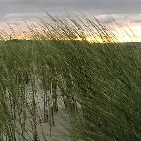 Affittacamere Ostseetraum